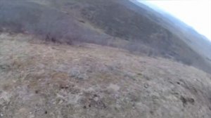 охота на шакала