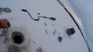 Первый лёд. Ловля щуки и окуня на жерлицы и балансир.