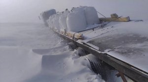 сабетта