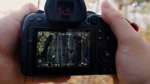 Canon RF 100-400 mm F/5.6-8 - Recenzja