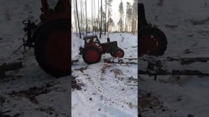 Т 40 таскает лес