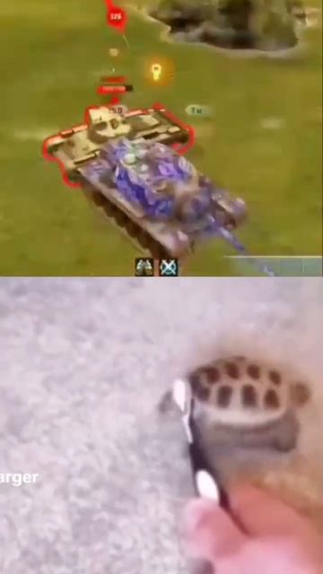 #forblitz #tanksblitz #танки #shorts смотреть онлайн