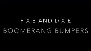 Another Boomerang Bumpers Voiced by Uberduck.ai