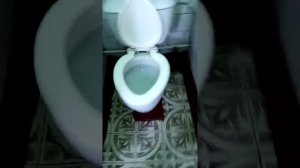 Обзор школьного туалета
