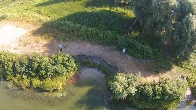 кривуши