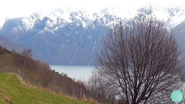 Три средства передачи самореализации (Роберт Адамс) смотреть онлайн