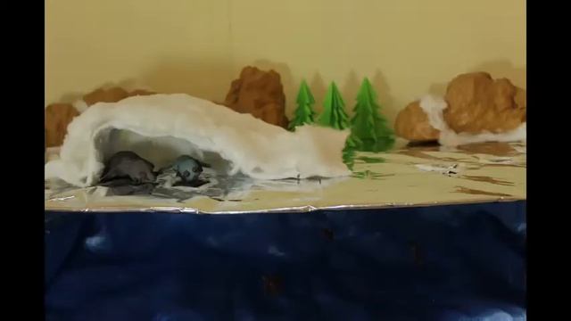 Как живут нерпы смотреть онлайн