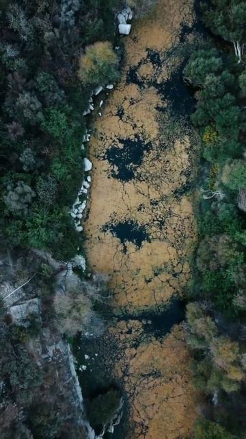 नील नदी | Nile River | world's longest river | biggest crocodile | आसवान बांध | AS JOURNEY | shorts смотреть онлайн