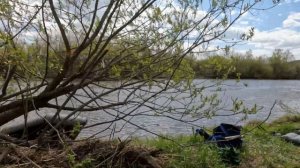 Однодневный сплав по реке Ирень. В поисках крупных голавлей.