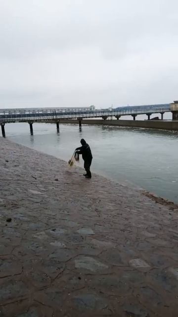 New Primitive Technology FISH TRAP With Fishing KR short