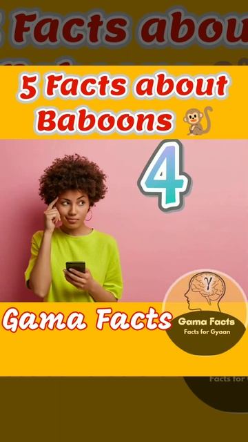 5 intresting facts about baboons #shorts #baboon #viral #facts #viralvideo #monkey