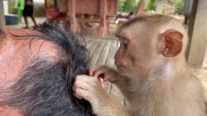 ASMR Monkey Zueii Grooming Oddly Satisfying Anxiety Relief Relaxing