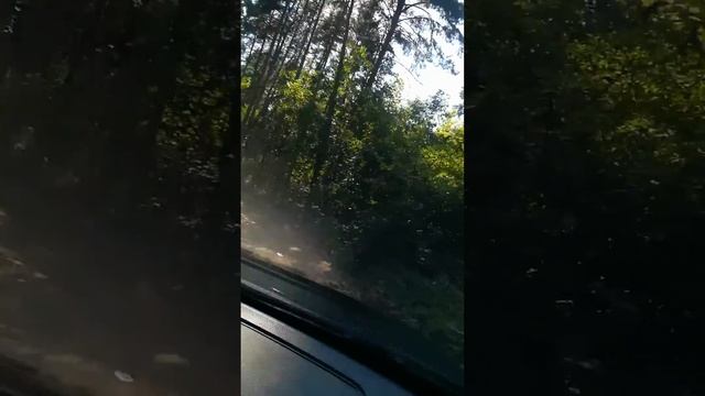 Липецкое море