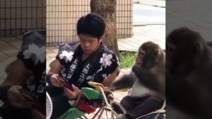 джавид.читаец😂