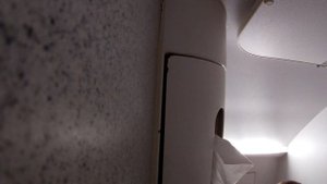 Обзор туалета в самолёте