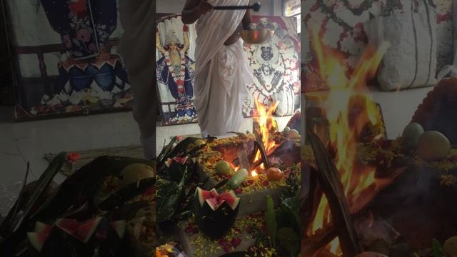 7 ДЕНЬ ПИТРУ ПАКШИ/ШАШТХИ ШРАДДХА смотреть онлайн