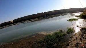 РЫБАЛКА В УЗБЕКИСТАНЕ. РЕКА СЫРДАРЬЯ. РЫБАЛКА НА САЗАНА #баликови #fishing #bestmoments