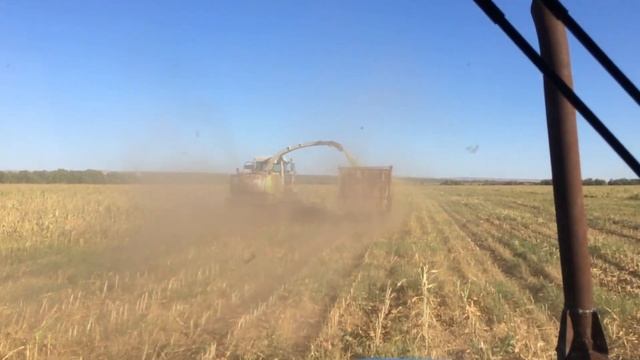Уборка силоса.claas jaguar мтз 82.1 смотреть онлайн