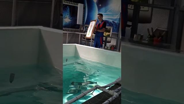 10 июля 2022 г.