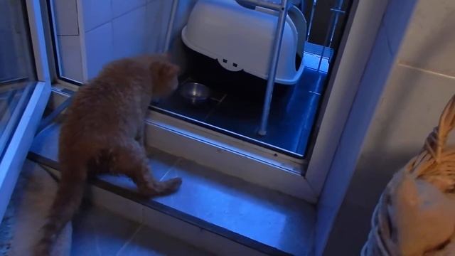 Trafo 2016 06 26 wychodzi na balkon смотреть онлайн