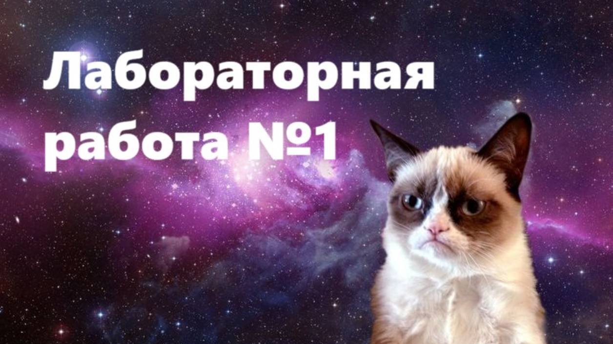 Лабораторная работа №1