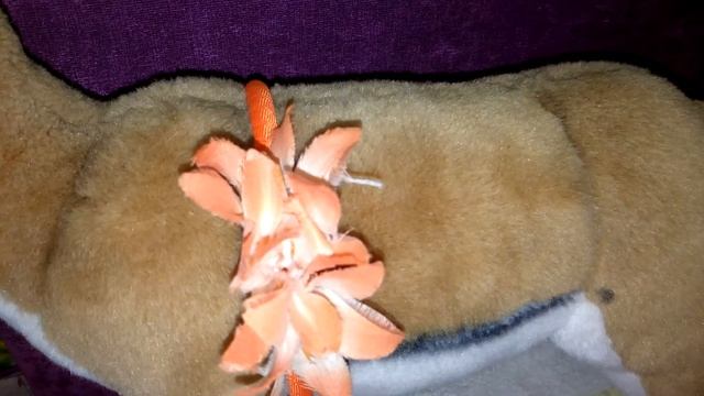 Газель музыка 6 смотреть онлайн