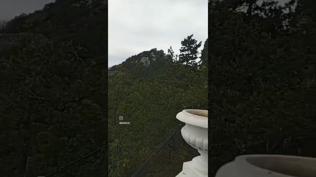 Юмор и песня . Кошечки из Симеиза.#2023 #симеиз #кошечки #кошки смотреть онлайн