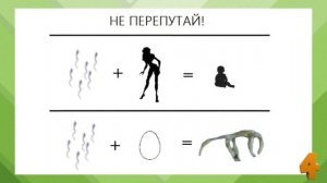 ГОМУНКУЛ ►  КАК СДЕЛАТЬ ГОМУНКУЛА? (Homunculus)► ТОП 5 ФАКТОВ О ГОМУНКУЛЕ