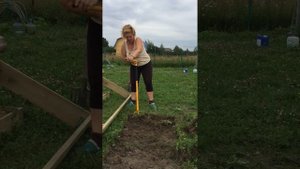 Грядки на целине без перекопки