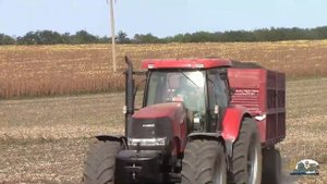 Все тракторы и комбайн в поле на уборке подсолнухи!Мтз 82,Дт-75,Мтз1025,John Deere и Case 210