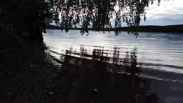Статичная  видеосъемка природы
