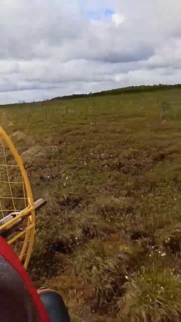 Аэролодка на просторах Васюганского болота. смотреть онлайн