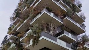 Вертикальный лес в Милане | Жилой комплекс Bosco verticale