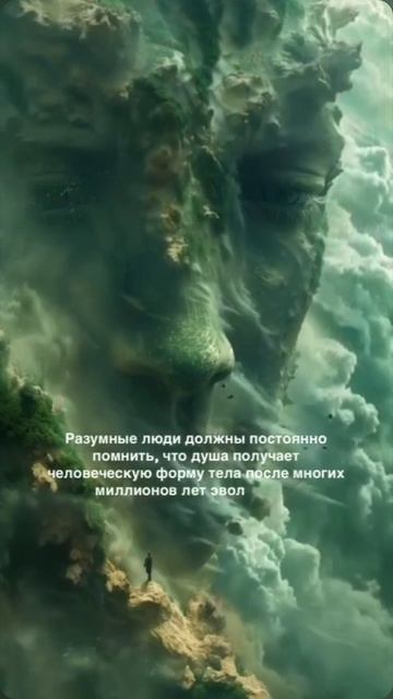 Цитаты о духовной жизни 💫