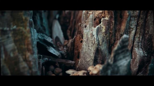 Осень смотреть онлайн