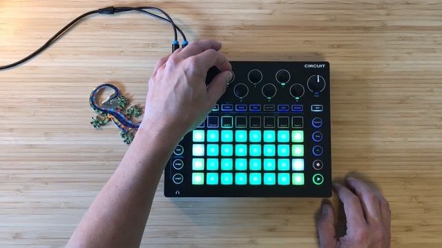 Novation Circuit Chameleon