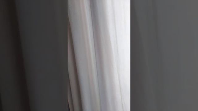 VID 20210602 164950 смотреть онлайн