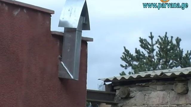 Построен новый общественный туалет смотреть онлайн