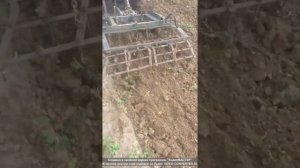 культивация мототрактор зубр 12 л.с