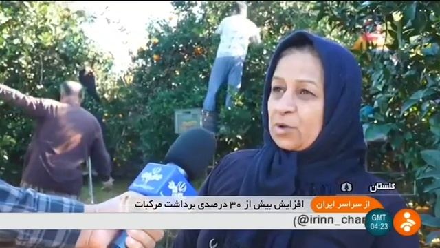 Iran Citrus harvest, Bandar Gaz county برداشت مركبات شهرستان بندرگز ايران смотреть онлайн