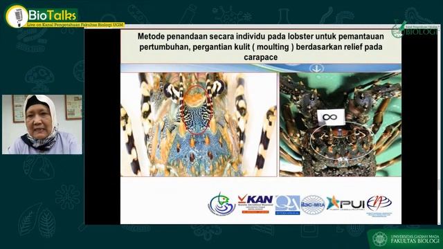 Biotalks #10 - Peran Biologi dalam pelestarian Biodiversitas Lobster смотреть онлайн