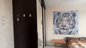 copy_7CB128C7-F3AD-4606-A96D-57BAF264436D