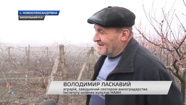 Тепло що шкодить