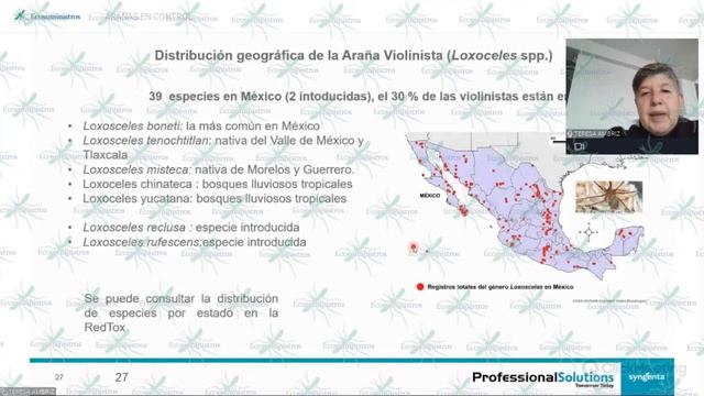 Arañas en control смотреть онлайн