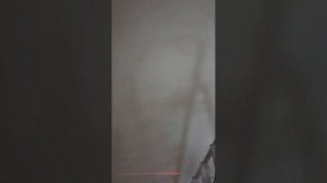 Сколько сохнет гипсовая штукатурка