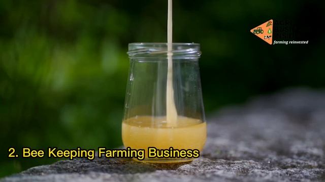 ¼ ACRE LAND Agriculture Business Ideas to be a MILLIONAIRE FARMER | Profitable Agribusiness Ideas