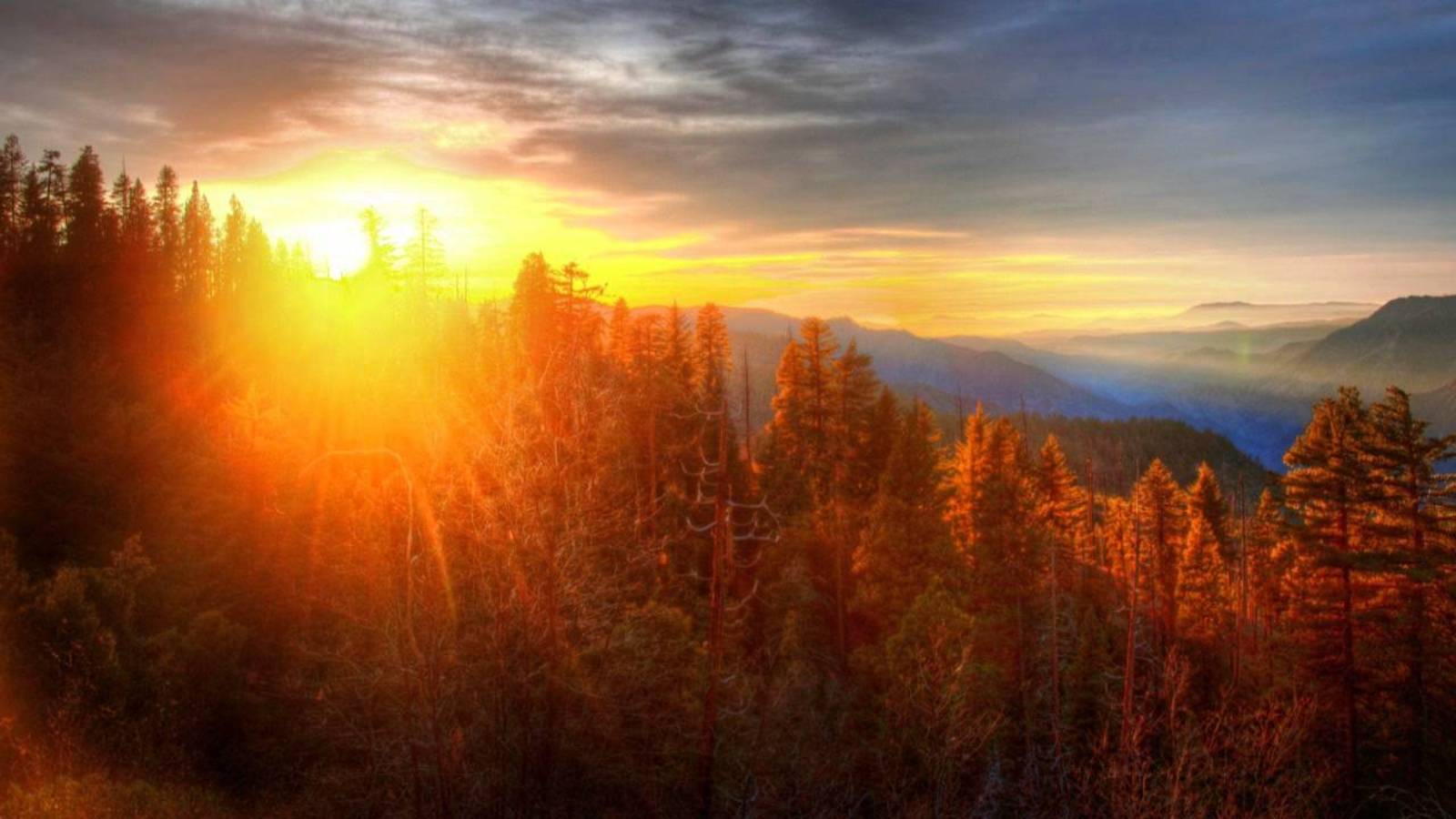 Экзальтация смотреть онлайн