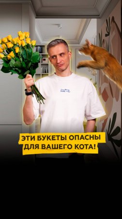 Эти цветы опасны для вашего кота!