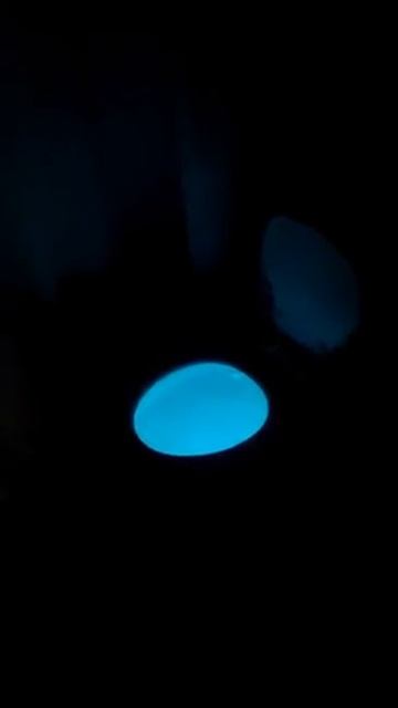 Motion Activated Toilet Auto Motion Activated Sensor  Nightlight