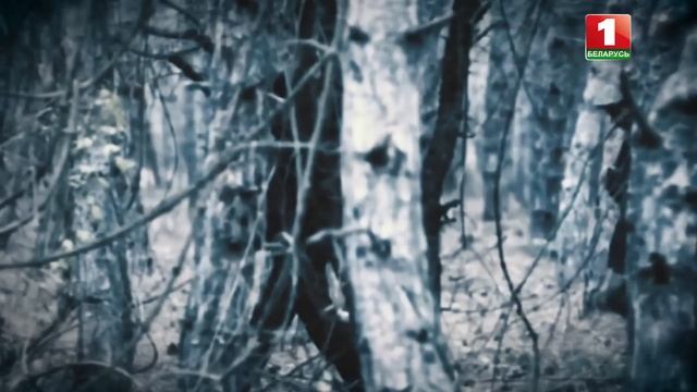 Спецгруппы. Освобождение: неизвестное об операции Багратион. Совершенно секретно! Без срока давности